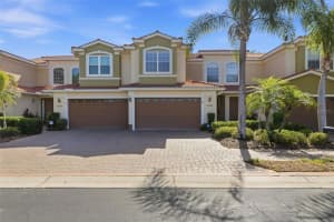 4113 Courtside Way, TAMPA