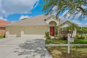 9103 Pinebreeze Dr, RIVERVIEW 9103 Pinebreeze Dr, RIVERVIEW