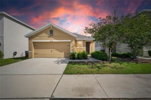 10232 Geese Trail Cir, SUN CITY CENTER