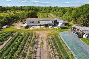 11101 Sumner Rd, WIMAUMA