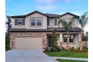 16142 Monterey Greens Cir, TAMPA