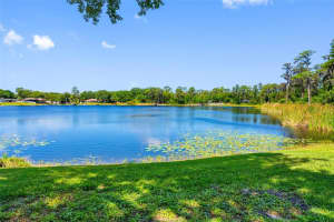10209 Lake Grove Dr, ODESSA