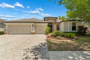 19413 Sweet Grass Way, LUTZ