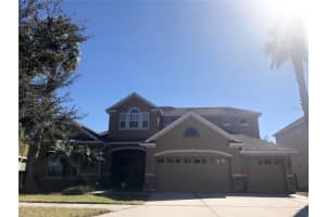 19125 Sweet Clover Ln, TAMPA