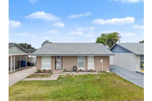 8304 Dasa Pl, TAMPA