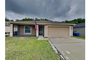 , WINTER HAVEN , WINTER HAVEN