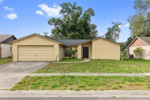 17635 Meadowbridge Dr, LUTZ