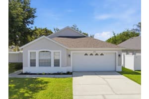 5207 New Savannah Cir, WESLEY CHAPEL