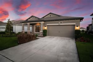 30950 Parrot Reef Ct, WESLEY CHAPEL