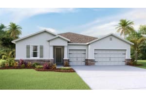 3506 Hazy Glen Ln, PLANT CITY