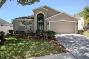 2617 Buckhorn Preserve Blvd, VALRICO