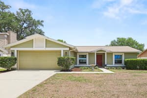 3009 Annadale Cir, BRANDON