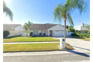 15126 Nighthawk Dr, TAMPA
