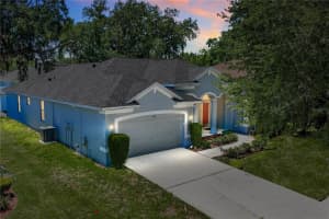 1603 Grand Heritage Blvd, VALRICO