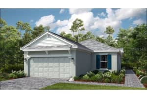 3896 Immacolata Way, WESLEY CHAPEL