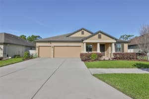 11014 Brahman Ranch Cir, RIVERVIEW