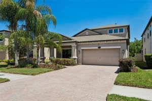 19546 Whispering Brook Dr, TAMPA 19546 Whispering Brook Dr, TAMPA