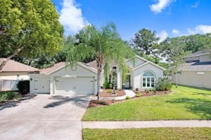 3026 Partridge Point Trl, VALRICO
