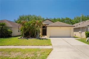 8426 Poydras Ln, TAMPA