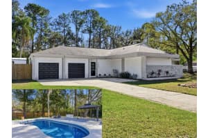 1566 Woodfield Ct, LUTZ