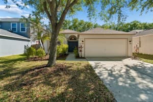 8311 Torrington Ave, TAMPA