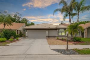 3654 Darston St, PALM HARBOR