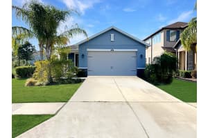 4445 Tramanto Ln, WESLEY CHAPEL 4445 Tramanto Ln, WESLEY CHAPEL