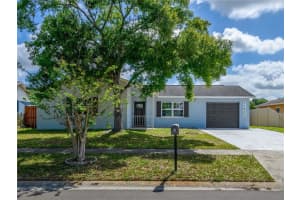 11422 Wheeling Dr, TAMPA