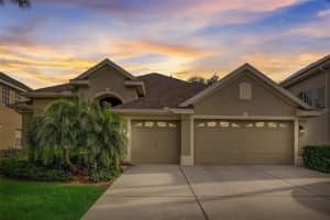 23338 Dinhurst Ct, LAND O LAKES 23338 Dinhurst Ct, LAND O LAKES