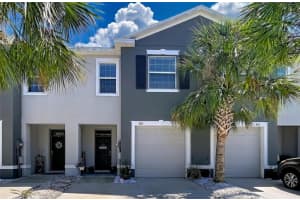 3313 Pleasant Willow Ct, BRANDON