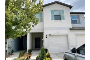 3810 Cat Mint St, TAMPA