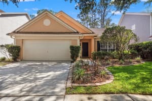 9403 Willow Cove Ct, TAMPA 9403 Willow Cove Ct, TAMPA