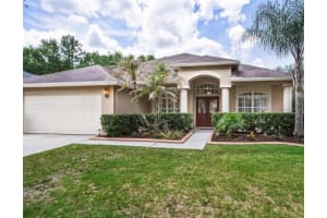 18220 Stillwell Ln, TAMPA
