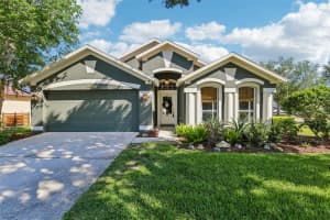 19918 Ellendale Dr, LAND O LAKES