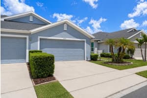 8531 Acorn Ridge Ct, TAMPA