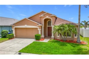 2818 Musky Mint Dr, LAND O LAKES 2818 Musky Mint Dr, LAND O LAKES