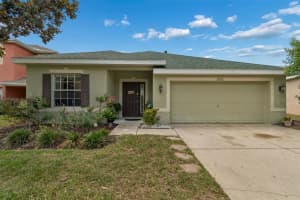 20122 Nob Oak Ave, TAMPA