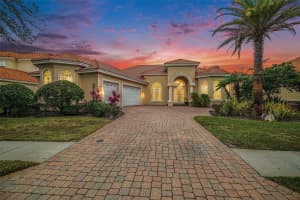 8478 Dunham Station Dr, TAMPA