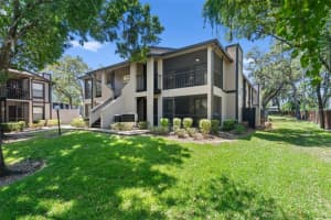 14733 Norwood Oaks Dr #201, TAMPA