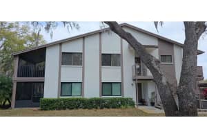 515 Tabor Ct #c, SAFETY HARBOR