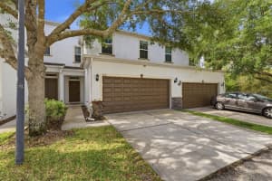 8505 Andalucia Field Dr, TEMPLE TERRACE