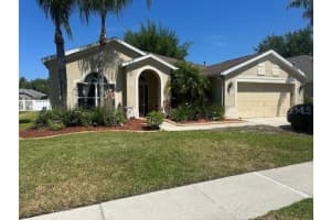 19103 Wind Dancer St, LUTZ