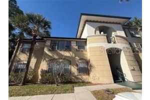 17101 Carrington Park Dr #415, TAMPA