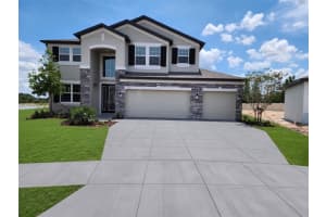 7520 Greenheart Ct, WESLEY CHAPEL