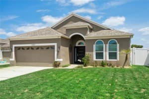 24833 Panacea Ct, LUTZ