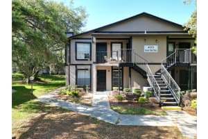 4023 Dream Oak Pl #104, TAMPA