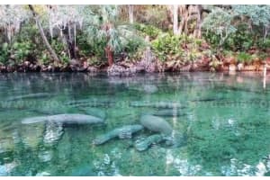 1 Werley Trl, DELAND