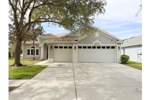 1314 Emerald Hill Way, VALRICO