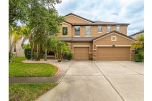 11511 Palmetto Pine St, RIVERVIEW