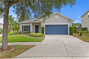 2837 Maple Brook Loop, LUTZ